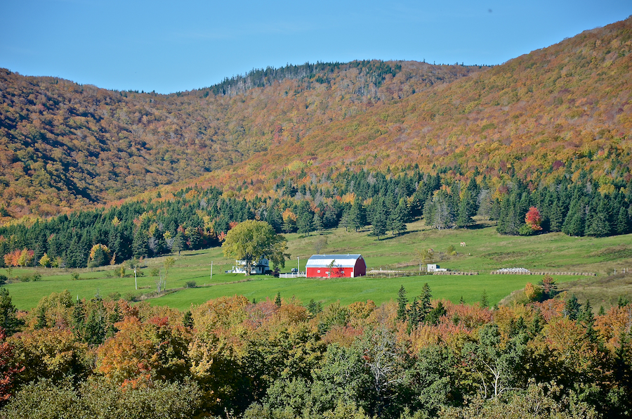 Farm in Northeast Mabou