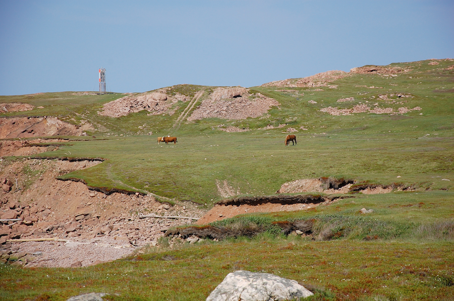 Looking towards Cape St Lawrence