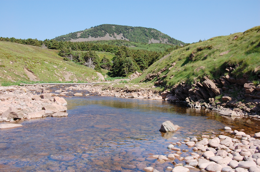 French Brook near its mouth