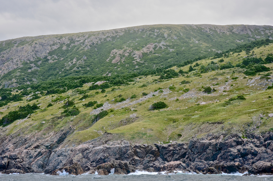 The coast at Delaneys Point