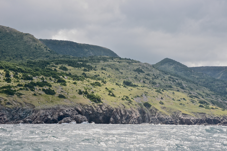 “Delaneys Hill” and the coast north of Delaneys Point