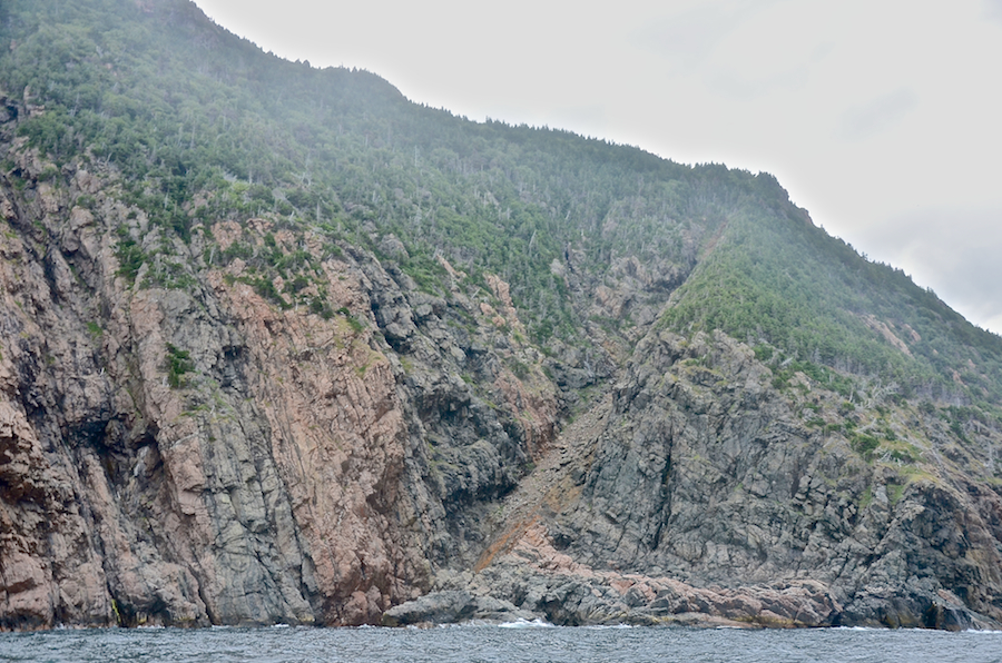 Cliffs along the northern coast of the High Capes area