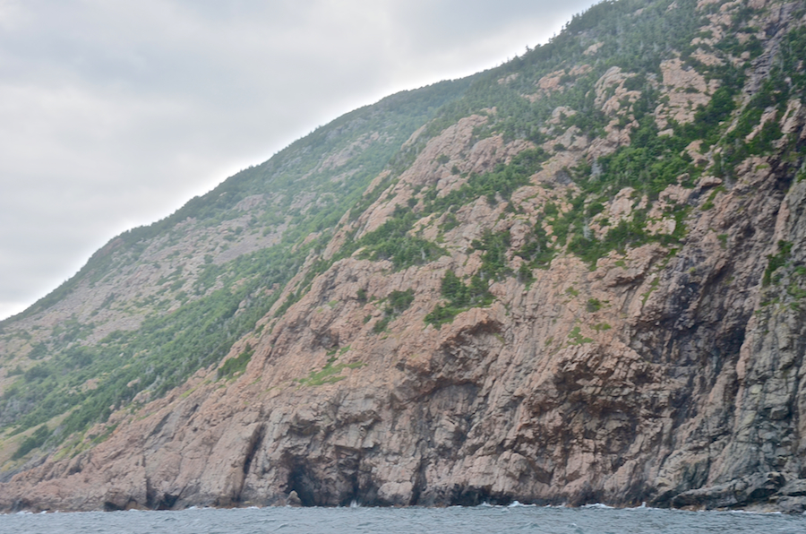 The sheer cliffs on the northern coast of the High Capes area