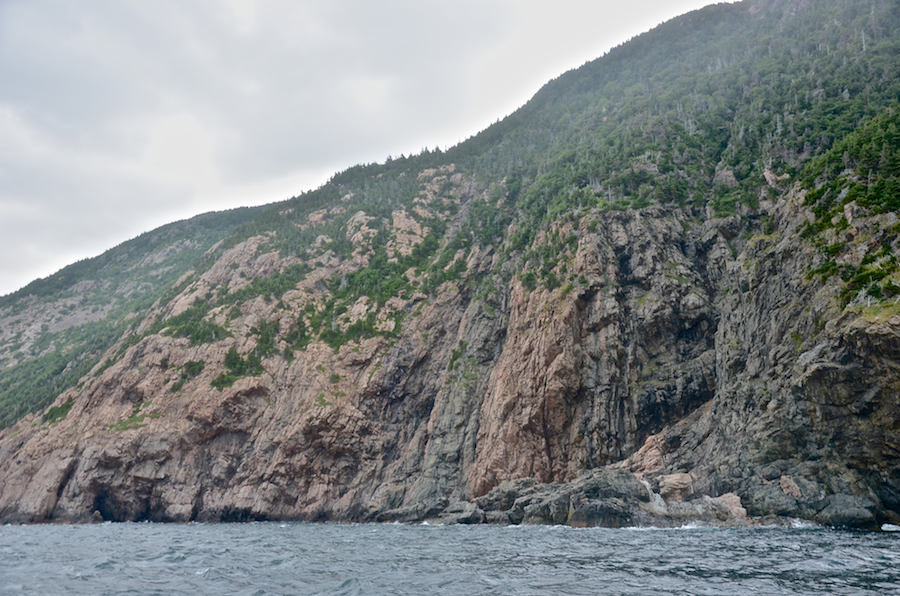 The sheer cliffs on the northern coast of the High Capes area