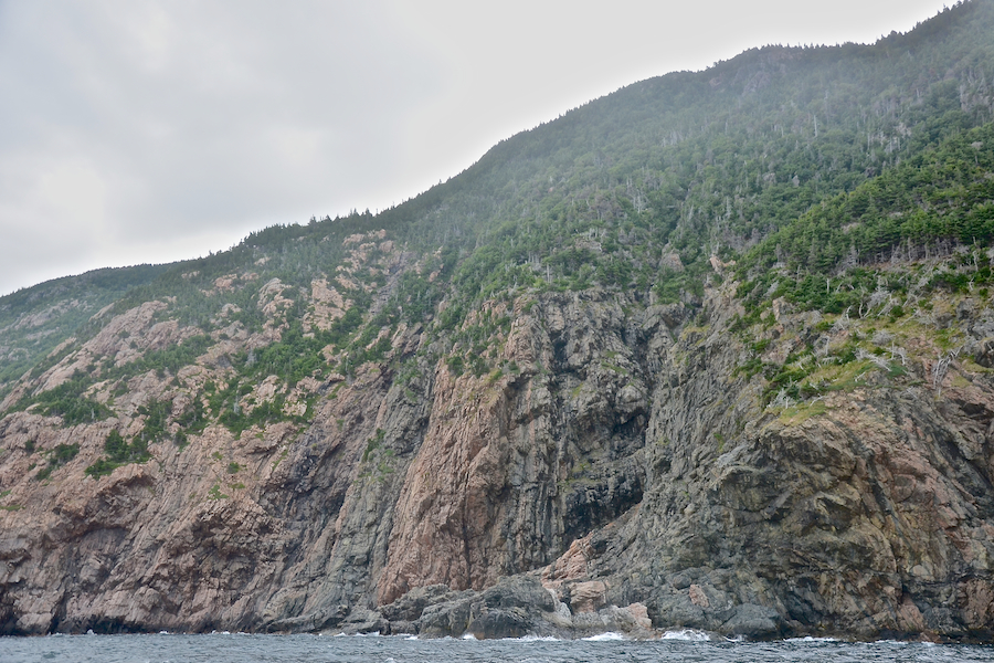The sheer cliffs on the northern coast of the High Capes area