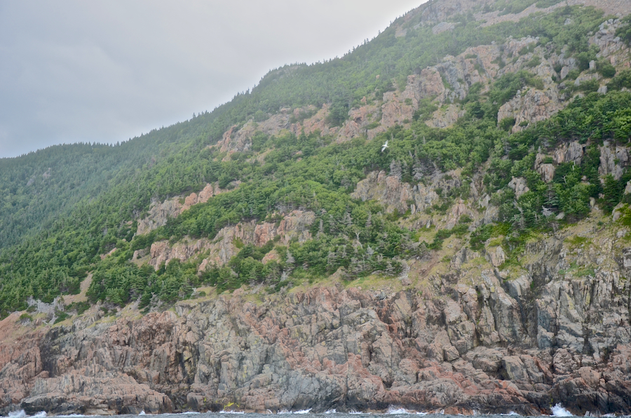 The peak and the cliffs below