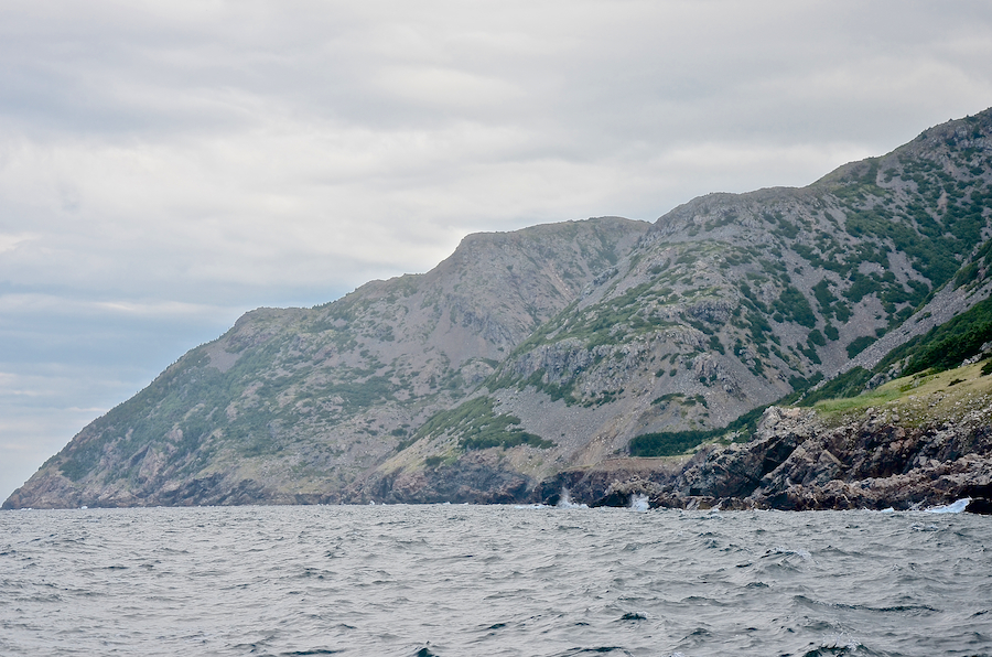 Looking north along the coast from off Delaneys Point