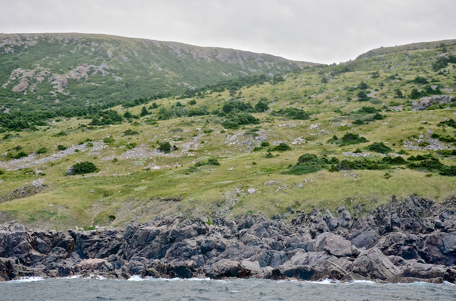 The coast at Delaneys Point