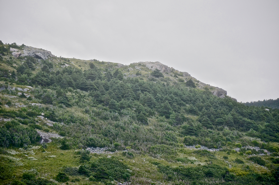 Detail of the summit of “Delaneys Hill”