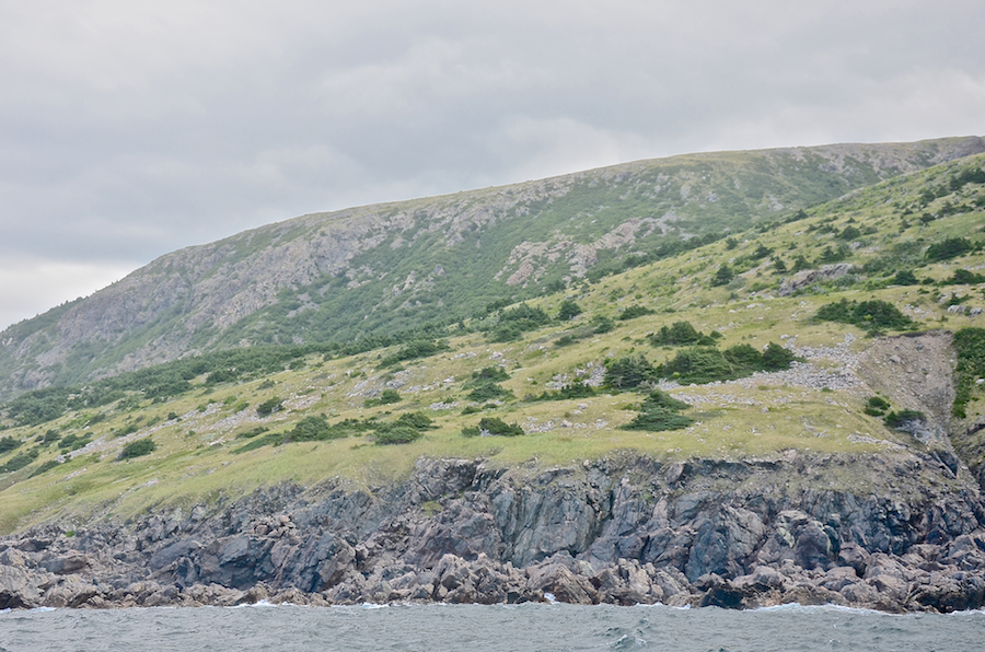 The coast at Delaneys Point