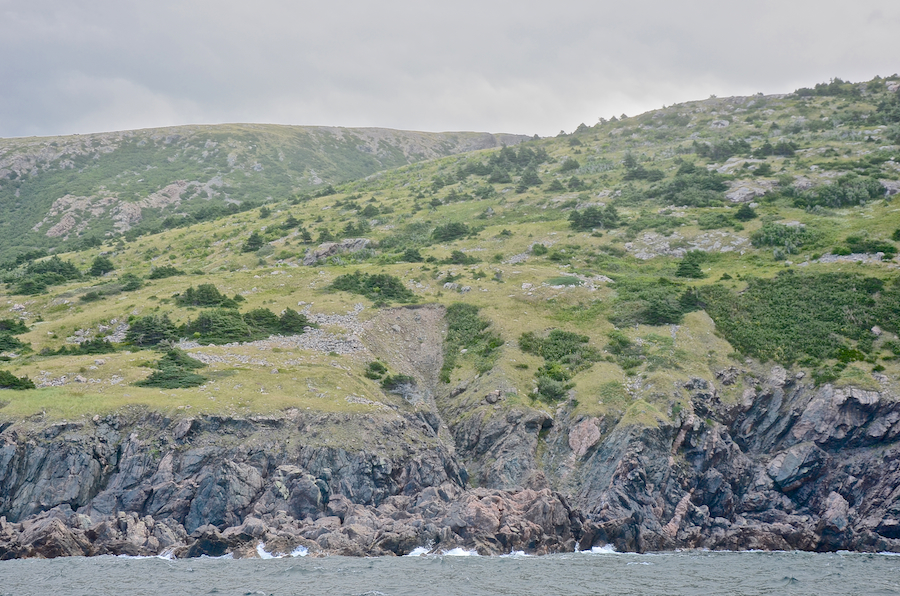 The coast at Delaneys Point