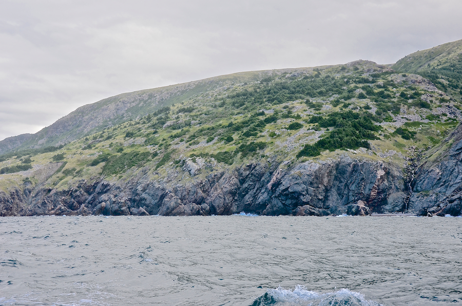 “Delaneys Hill” and the coast below