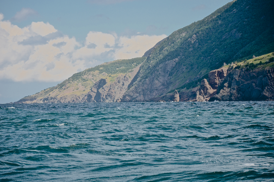 The coast from Delaneys Point to the rock structures south of the “fan”