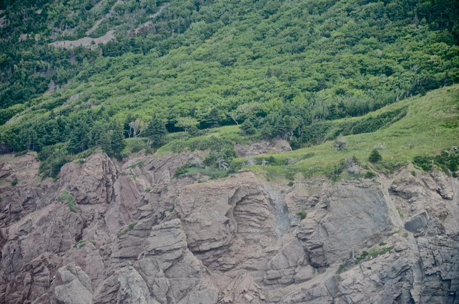 Detail of the rock cliffs