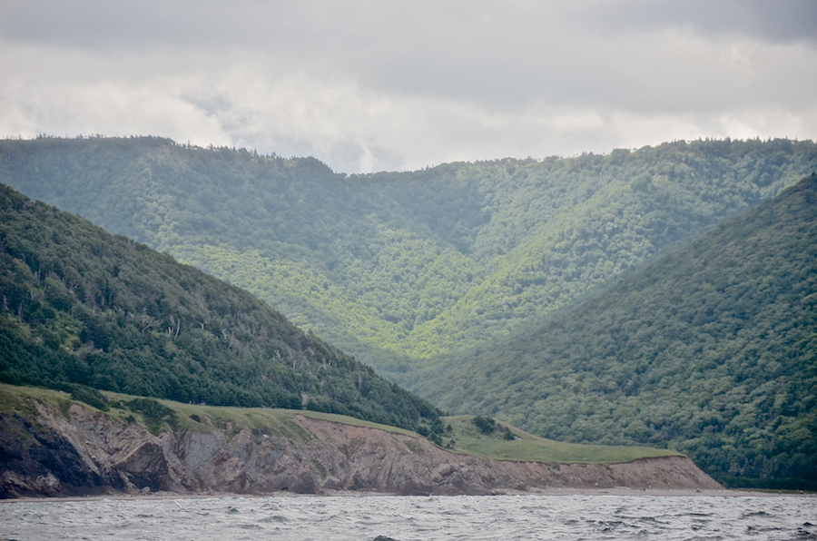 The plateau south of the Polletts Cove River