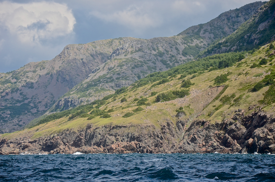 The rocks of Delaneys Point