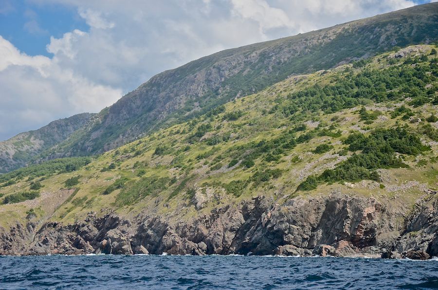 The coast below “Delaneys Hill” just south of Delaneys Point