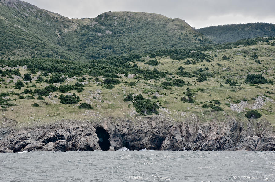 The coast just north of Delaneys Point and its oval cave