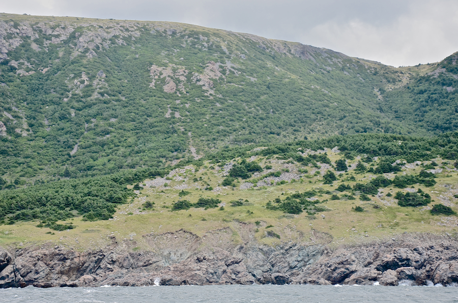 The coast just north of Delaneys Point