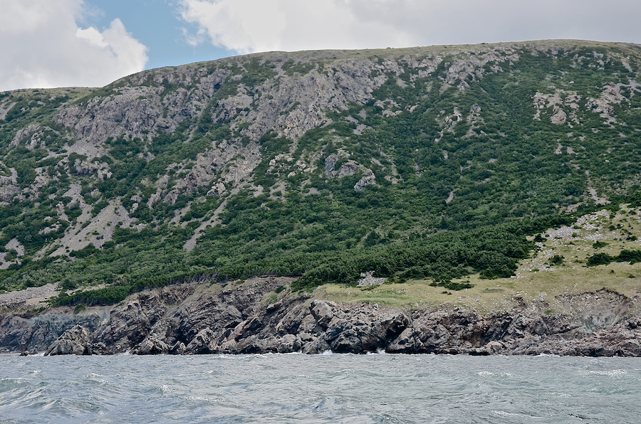 The coast north of Delaneys Point