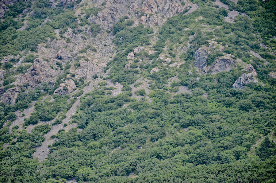 Detail below the middle part of the long southern ridge of “Delaneys Mountain”
