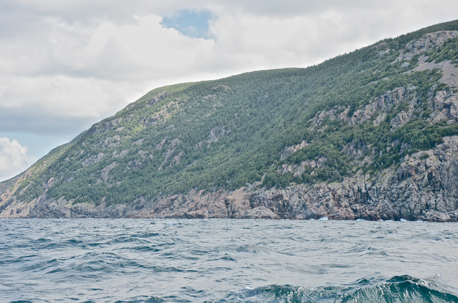 Coastal panorama