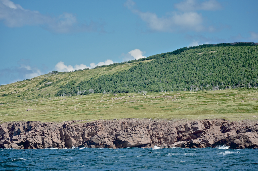 The coastal plain just inland of Tittle Point