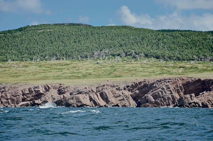 The coastal plain inland of Tittle Point