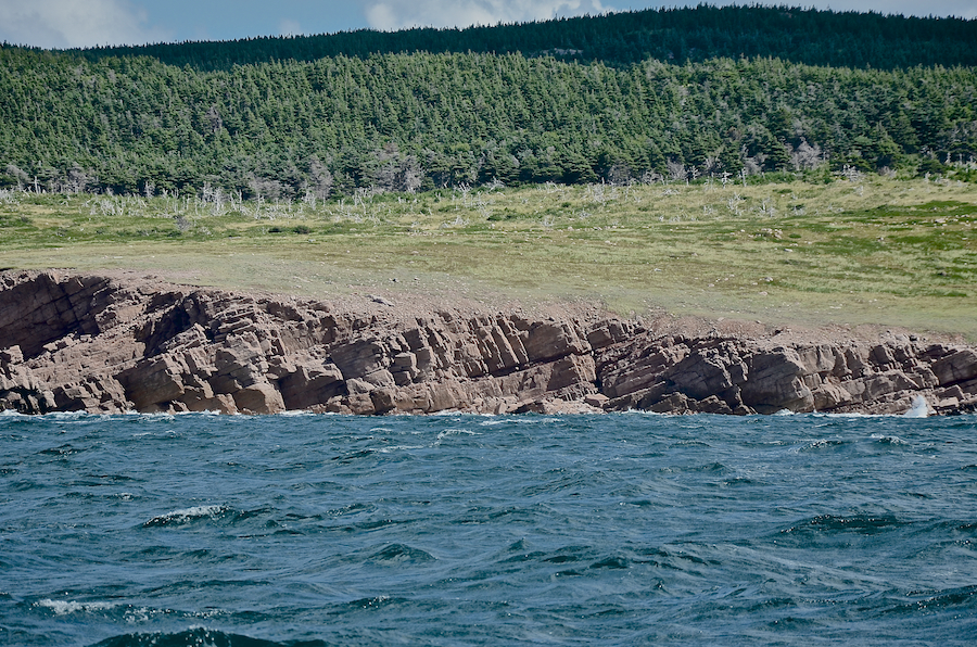 The coastal plain inland of Tittle Point