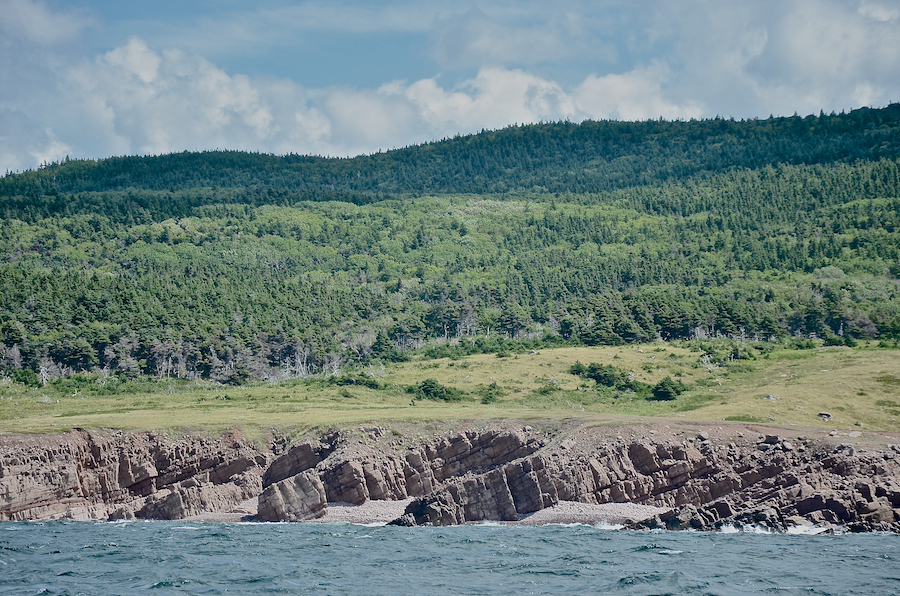 The coastal plain well inland of Tittle Point