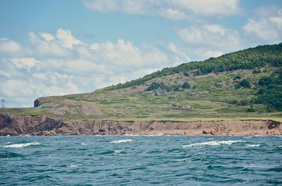 The coast from Cape St Lawrence to the mouth of French Brook