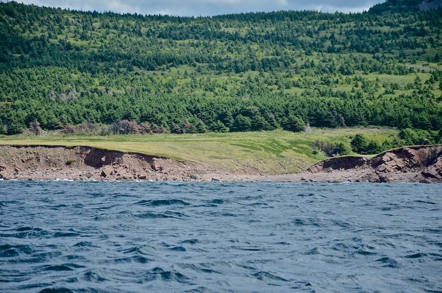 Coast at the mouth of French Brook