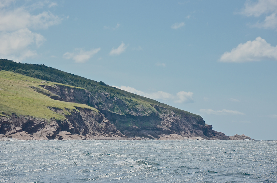 The coast south of the mouth of French Brook, part 9