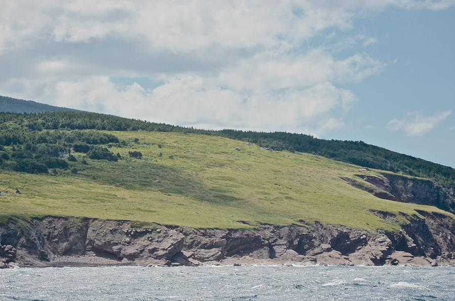 The coast south of the mouth of French Brook, part 8