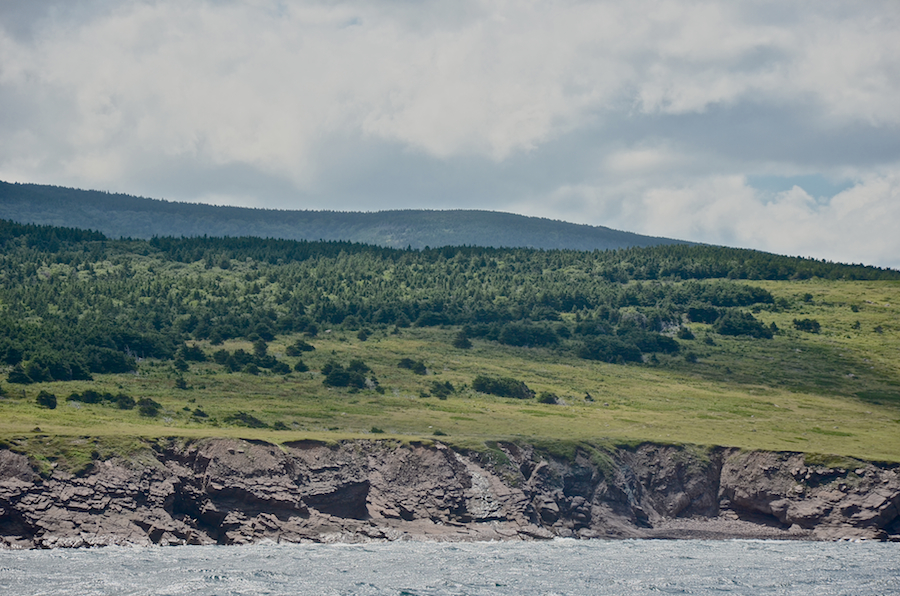 The coast south of the mouth of French Brook, part 7