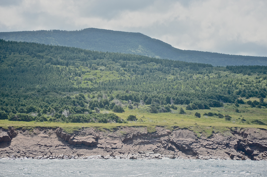 The coast south of the mouth of French Brook, part 6