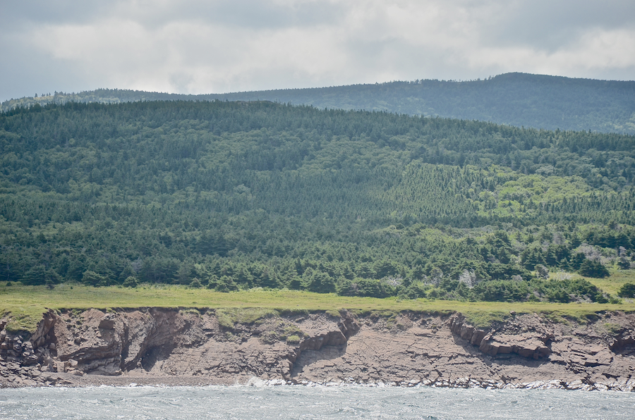 The coast south of the mouth of French Brook, part 5