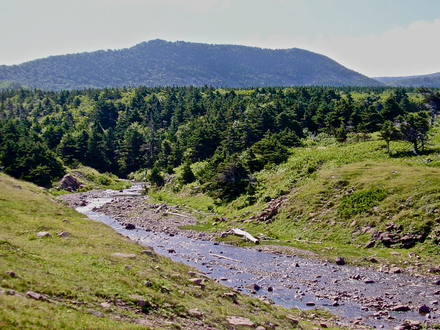 French Brook near its mouth seen from the north side