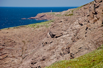 Cape St Lawrence from south of the Fox Den