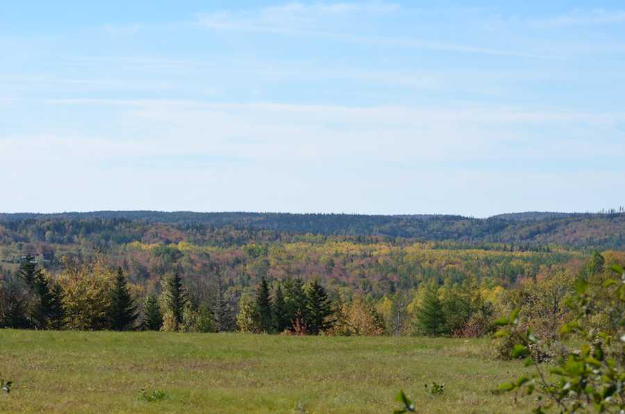 The Creignish Hills at Hillsdale