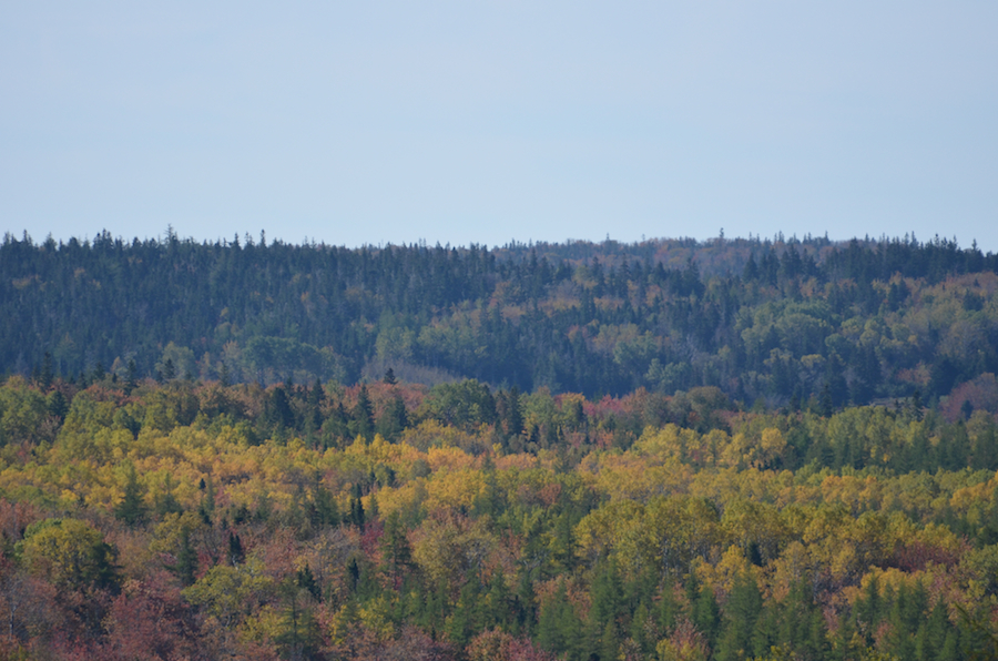 The bright colours in the valley below the ridge