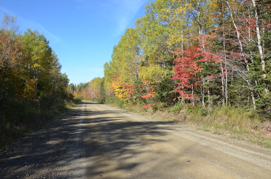 Glencoe Road in autumn