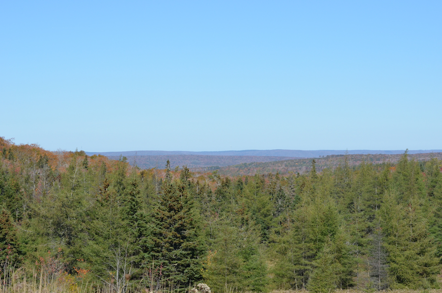 The back country from “Mount Glencoe” to Cape Mabou