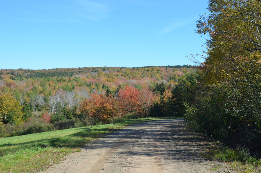 View from the MacKinnon Road