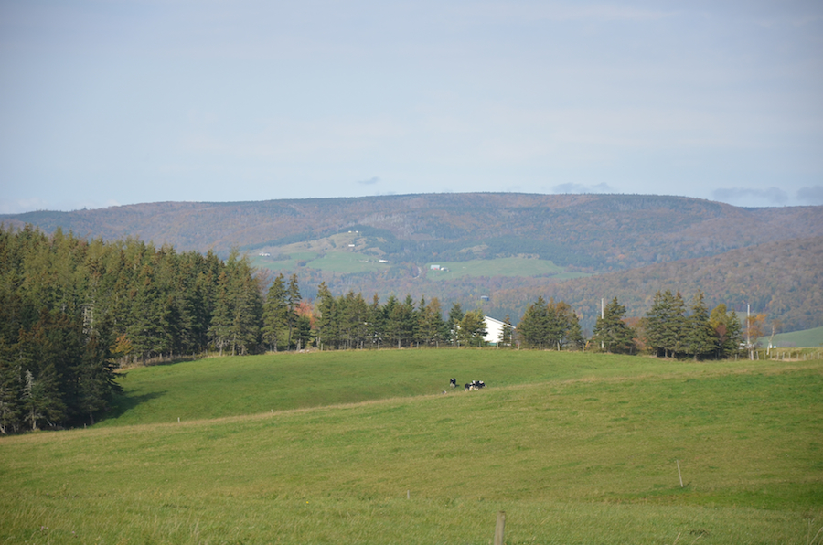 Northeast Mabou from Mabou Ridge