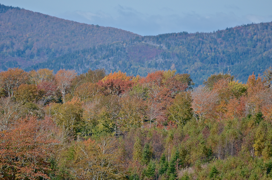 Early colours on Mabou Ridge