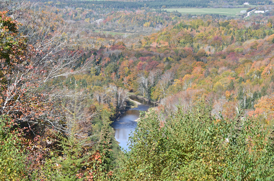 The Mull River from the Look-Off on Highway 252