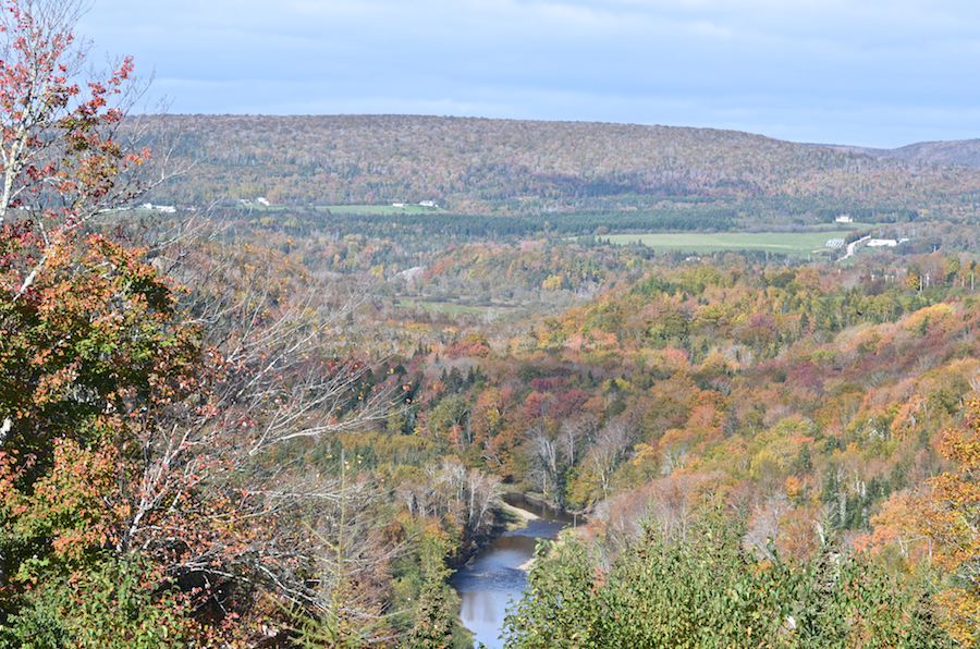 View from the Mull River Look-Off on Highway 252