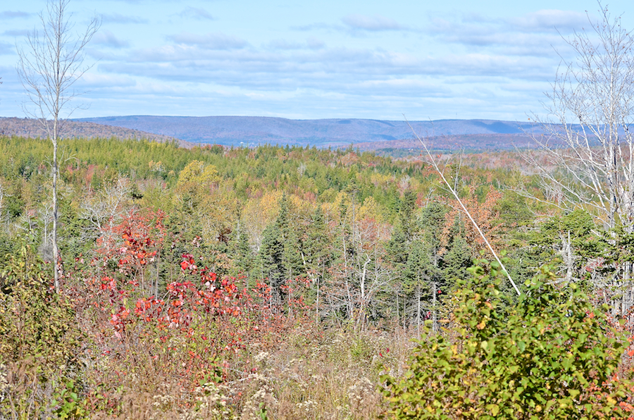 Cape Mabou from the Whycocomagh Port Hood Road