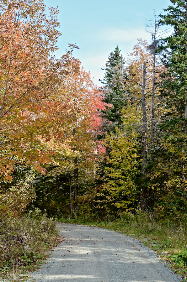 The General Line Road in Centennial